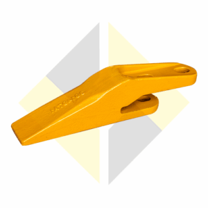 DENTE - 391497A1